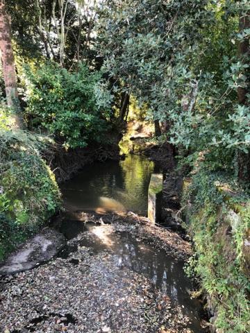 Gite Du Moulin De La Virvee Saint-André-de-Cubzac エクステリア 写真